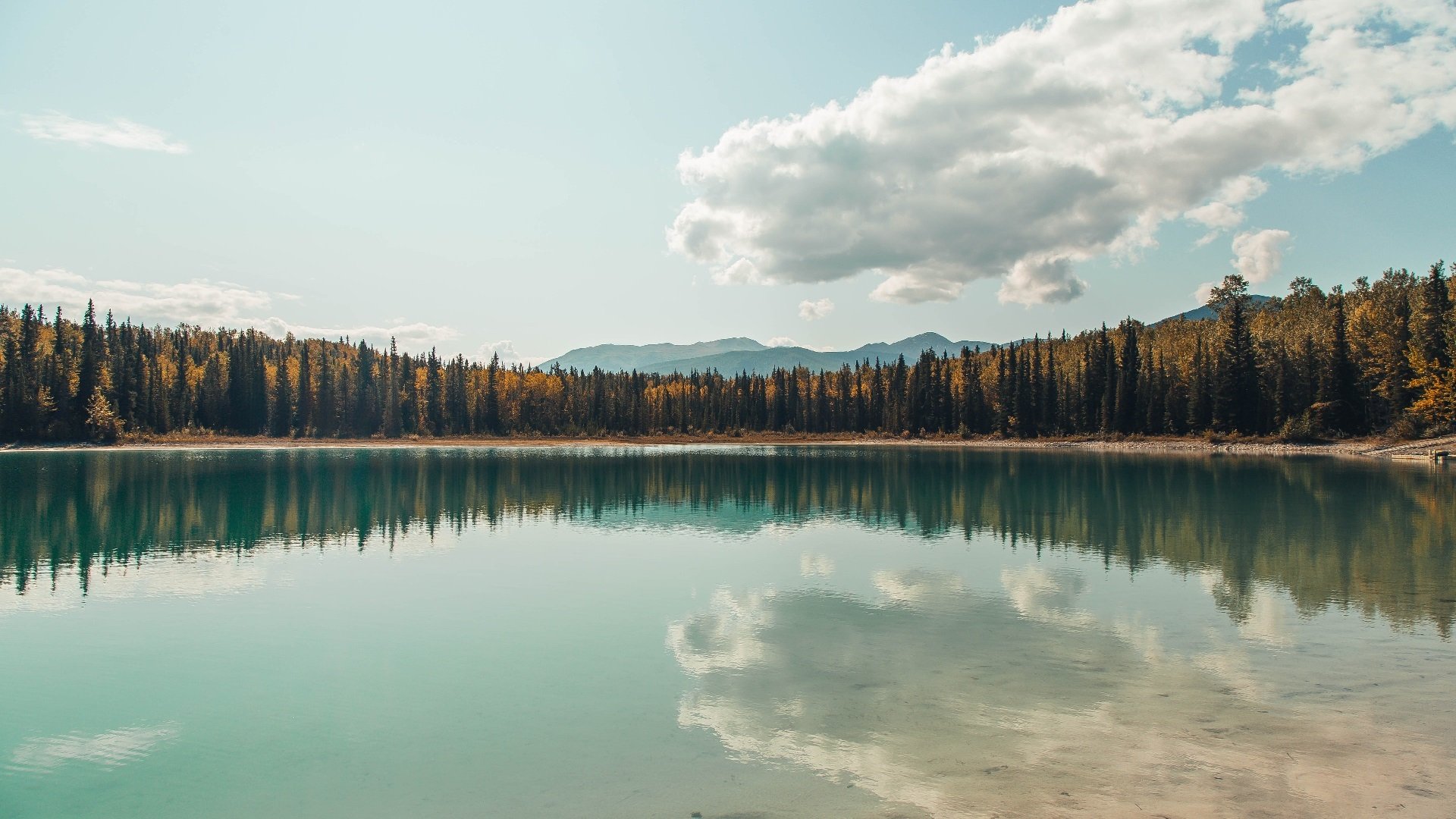 全国青少年足球选拔赛火热进行，未来之星纷纷亮相，2021青少年足球全国邀请赛