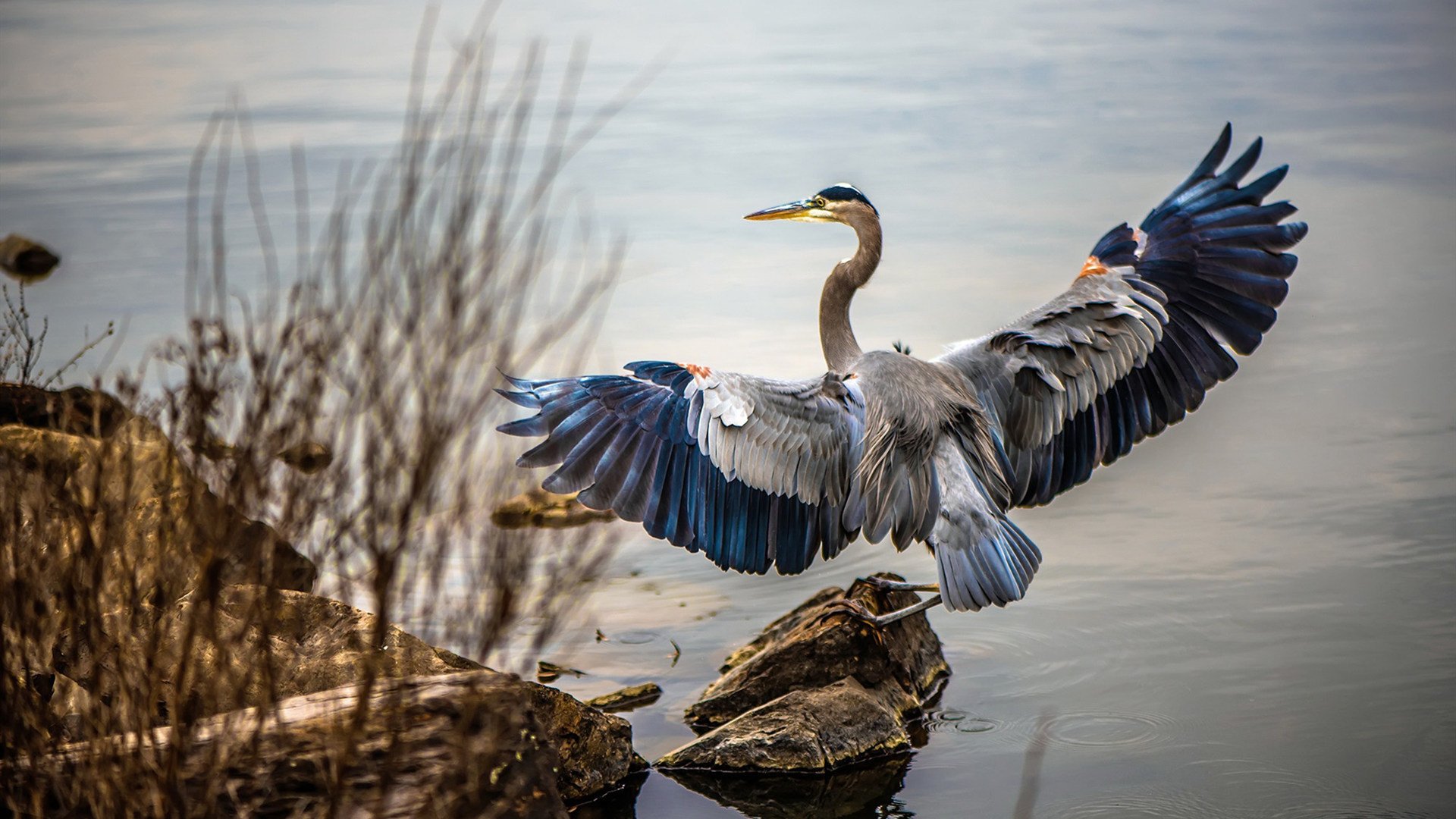 新华社评选出2024年中国体育十大新闻,强调全民健身和全民健康深度融合