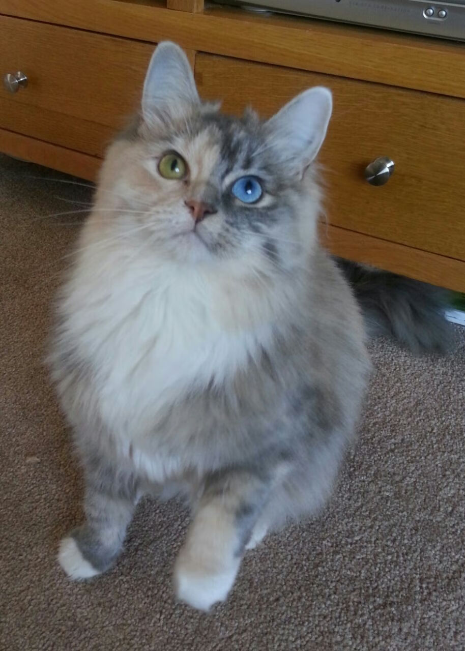 球迷投票:你心中年度最棒的比赛瞬间是哪一刻?,球迷投票nba历史最佳