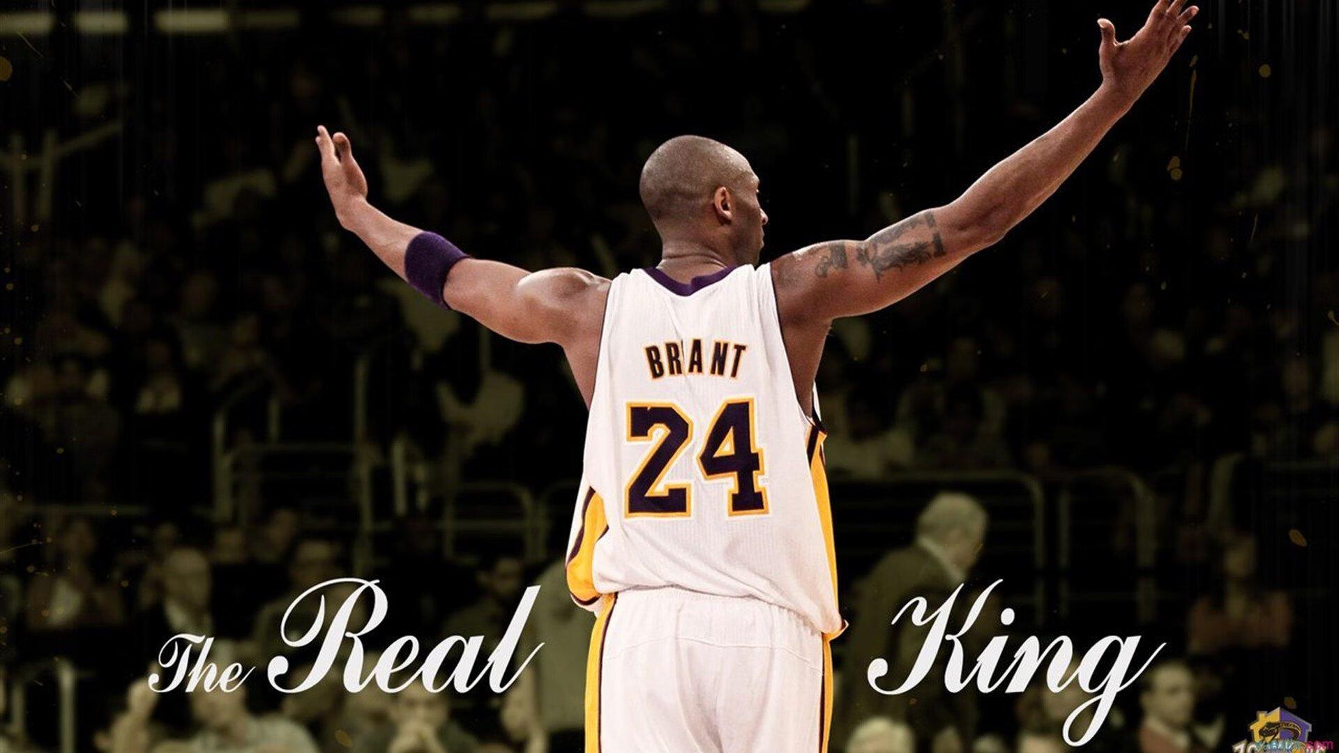 篮球裁判员综合素质提升培训课程开设，篮球裁判员培训教程