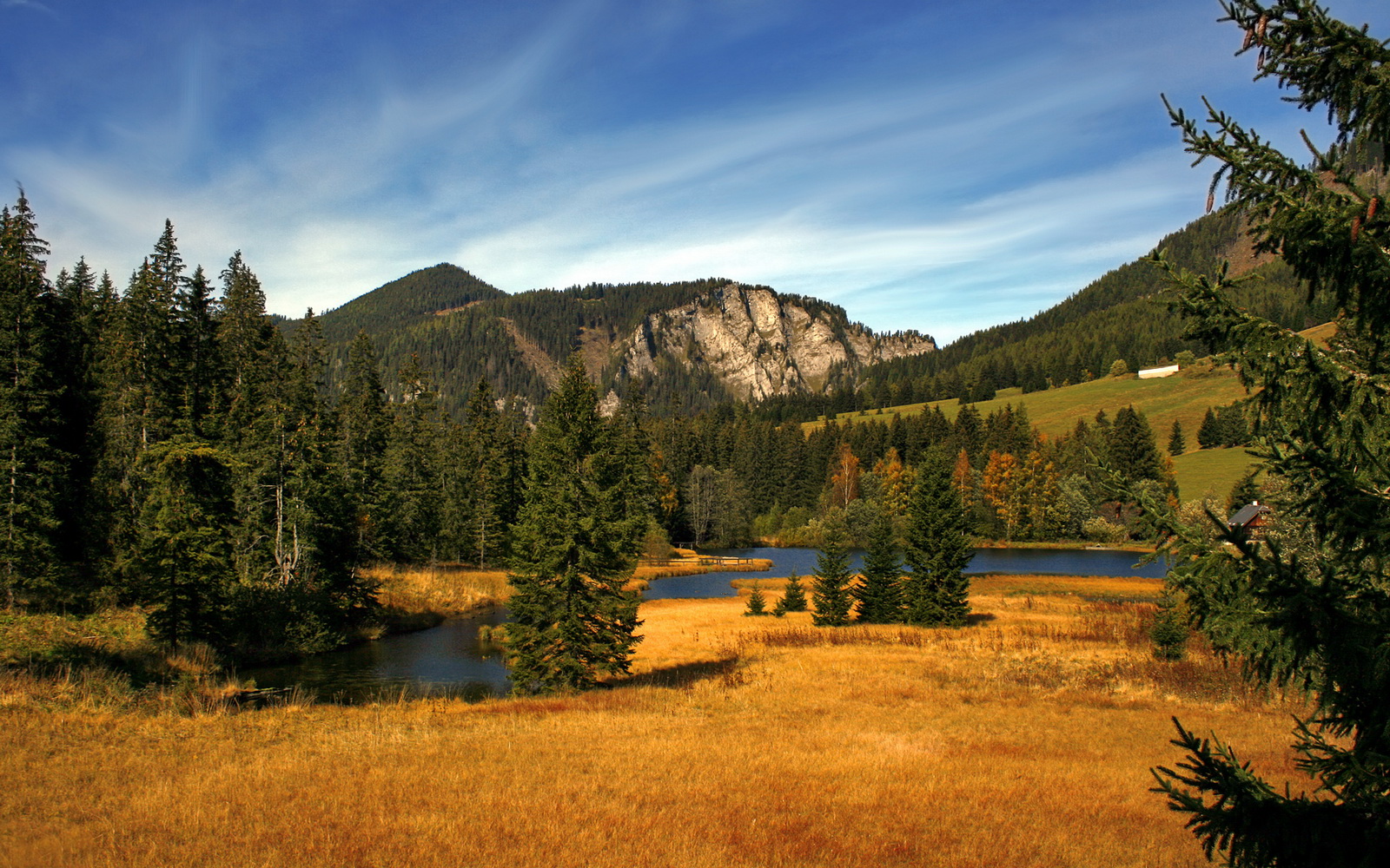 开云官网-转入新战术时代：联盟中最具创新的战术变化，转入新战术时代_联盟中最具创新的战术变化为