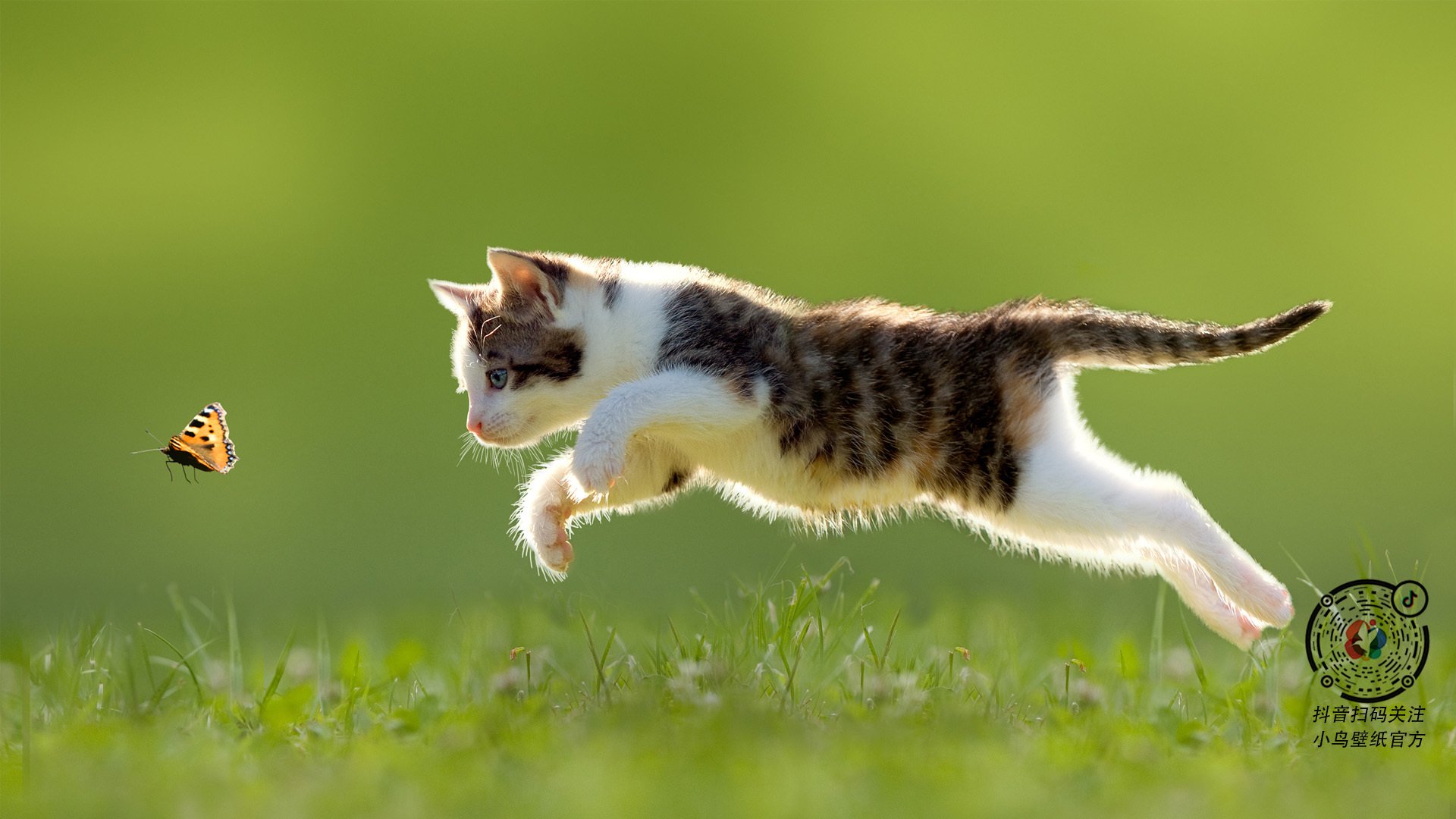 Aster转会期引援动向,aster战队成员变化