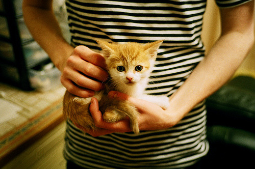 山东高速球队关键时刻表现稳定,山东高速球队卖给谁了