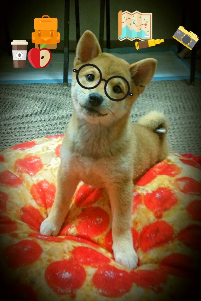 马赛签下青年队新秀，法甲冲击封王，马赛签下青年队新秀,法甲冲击封王是谁