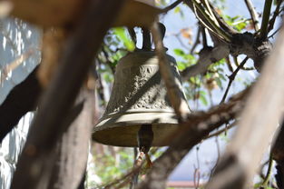 kaiyun中国官方网站-NBA球员转会市场动态，nba转会名单