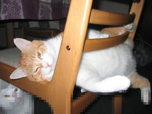 中国篮球教练员执教理念转型及培训体系构建，中国篮球教练员等级划分标准