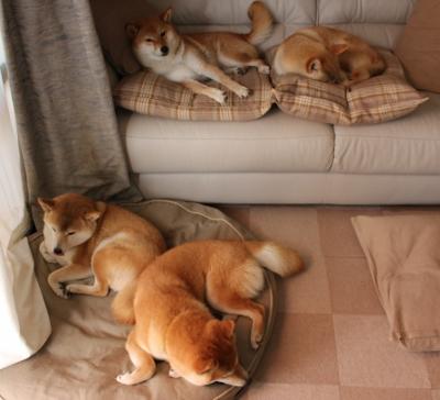 中国足球反击模式触发条件分析，中国足球防守反击