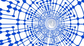 kaiyun网站-法甲球员恢复期心率波动数据指导训练负荷调整，法甲球员收入