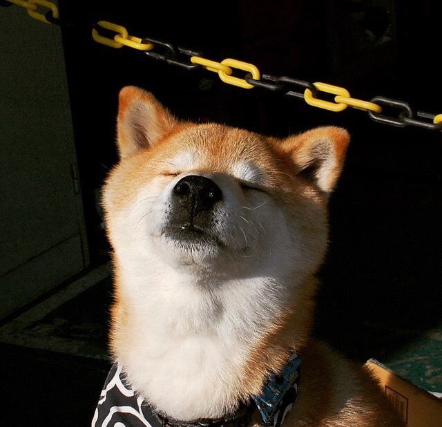 CBA球队管理更加规范 球员职业素养提升,cba球队训练