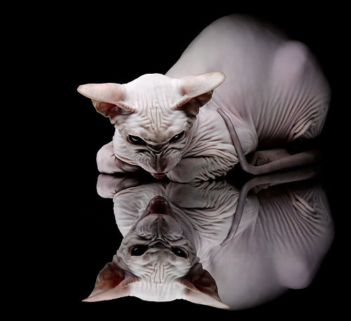 “2025世界运动会:壁球赛场,谁能在‘速度’与‘心跳’之间找到平衡?”