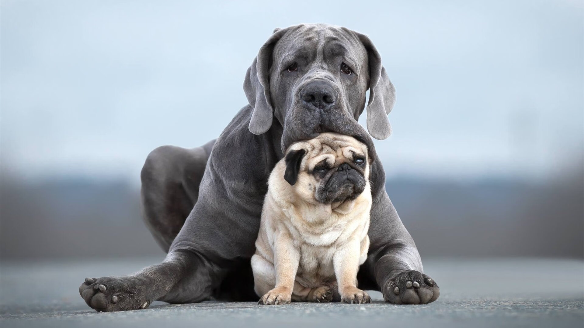 中超球队扩大视频分析团队深化对手战术研究,2021中超队伍