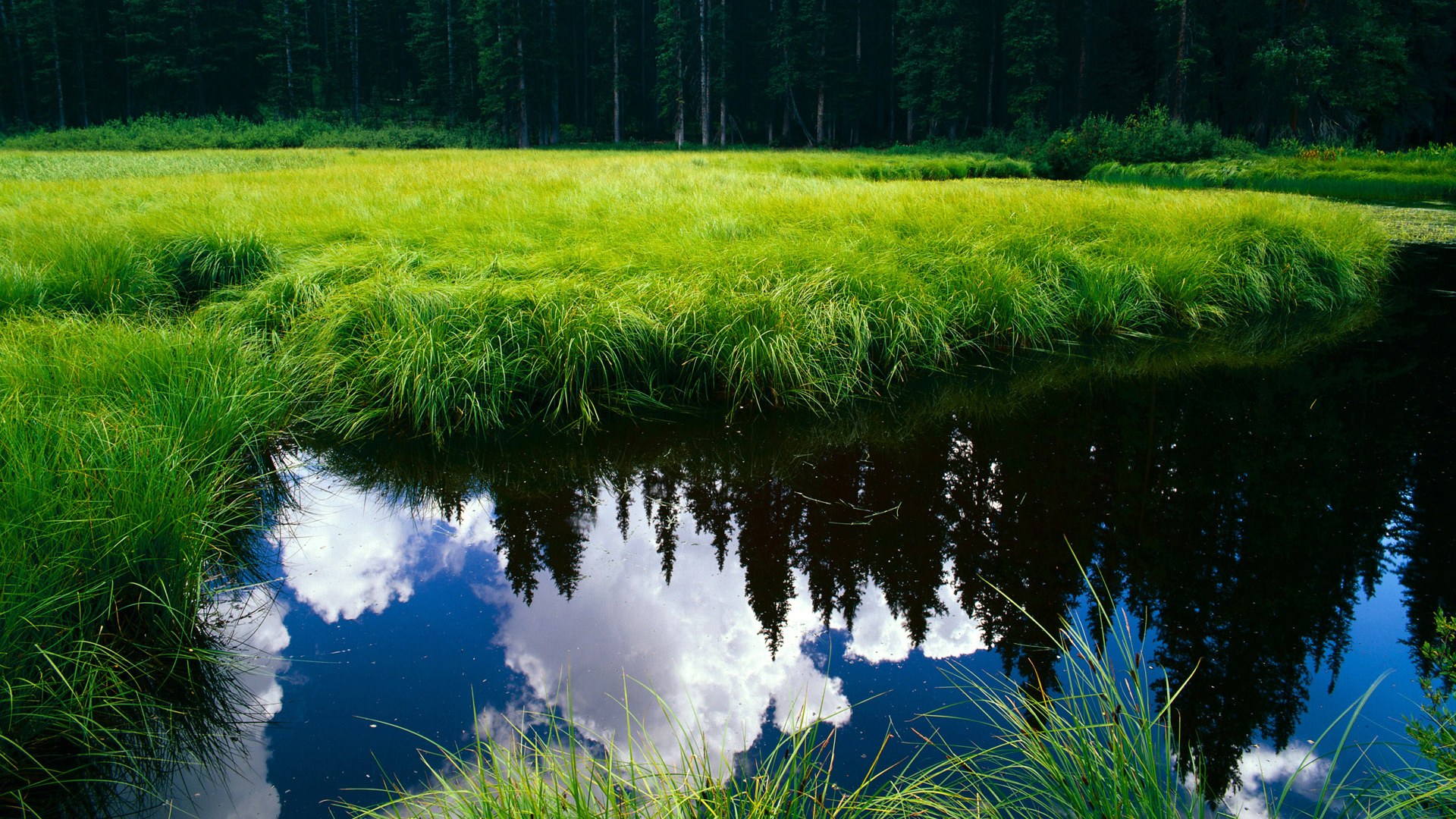 开云体育APP下载-新赛季训练强度加码球队体能储备迎来全面检验，球员体能训练