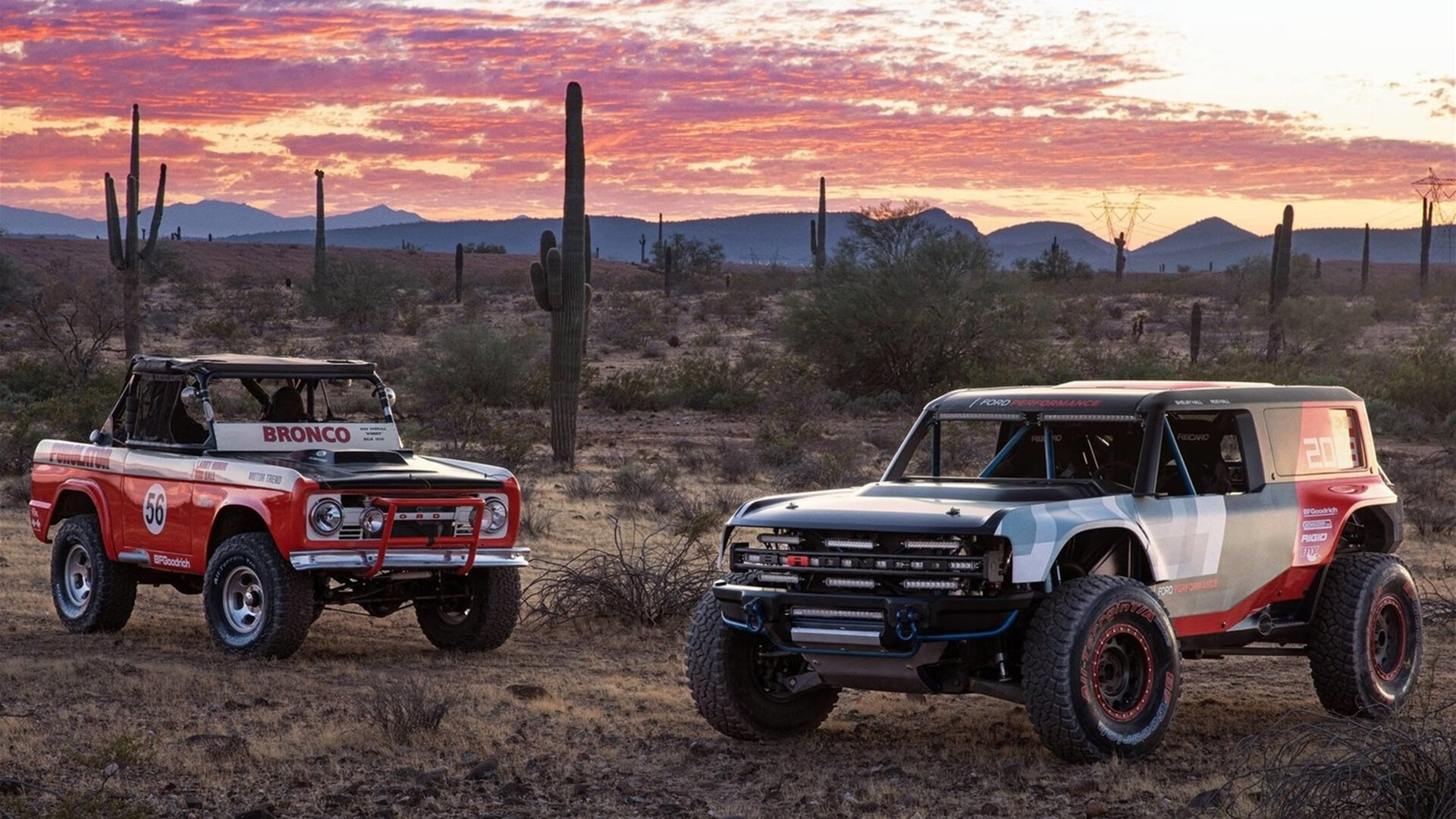 开云网页版登录入口-极限运动纪录片荣获国际奖项，极限运动冠军