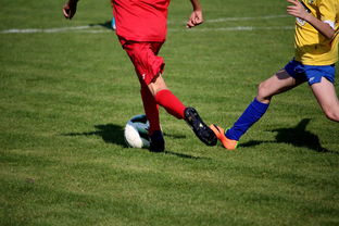 开云体育APP下载-特色足球文化在国际博览会中亮相，展示国家软实力，世界足球文化