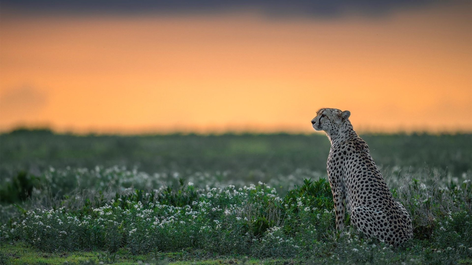 球队管理层召开内部会议研究近期成绩波动问题,球队管理人员