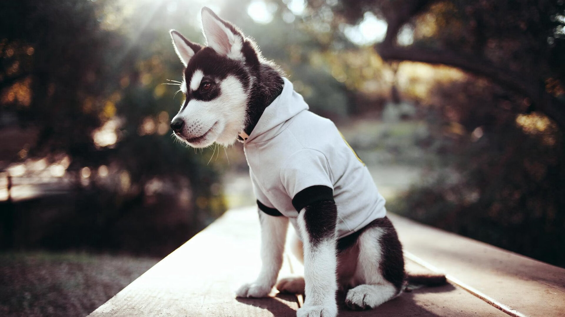 英超经典战役:多次领先后逆转的足球奇迹,英超名场面