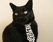 青训比赛设置摄像监控便于教练回看技战术细节，青训成员